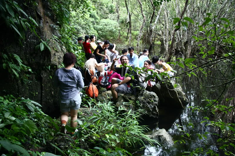 Ao ếch ở Cát Bà